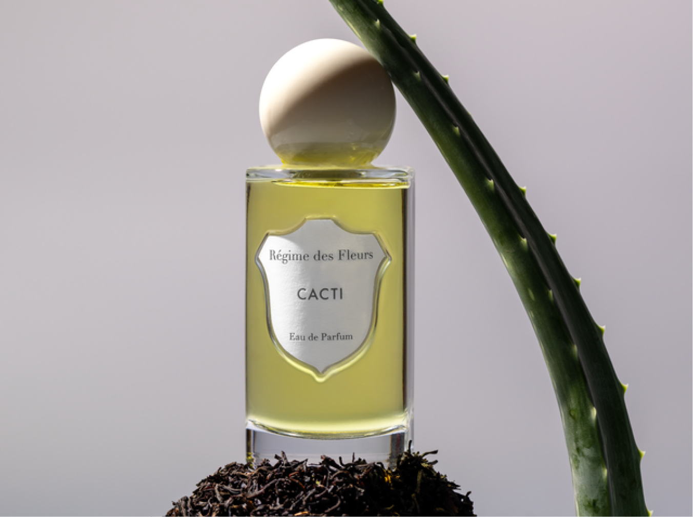 希少　レジーム　デ　フルール　CACTI　カクティ　オードパルファム　100ml CACTI – Régime des Fleurs