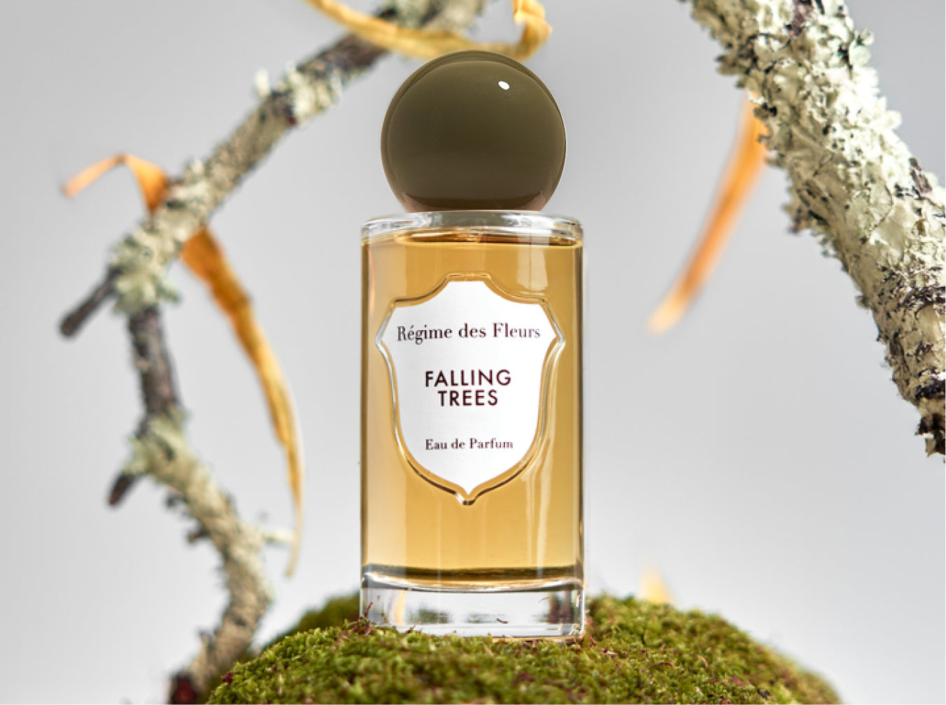 FALLING TREES – Régime des Fleurs
