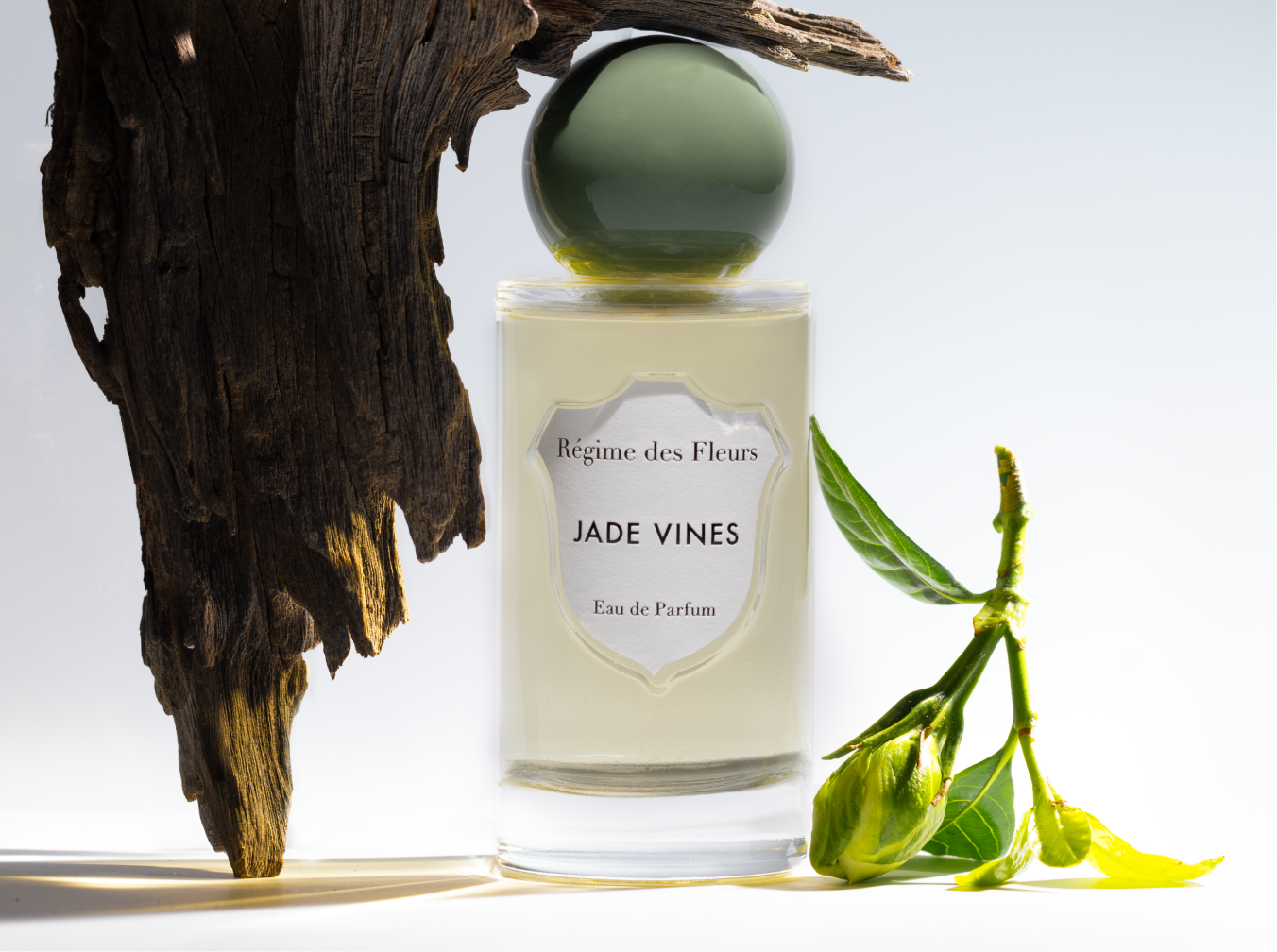 JADE VINES – Régime des Fleurs JADE VINES – Régime des Fleurs