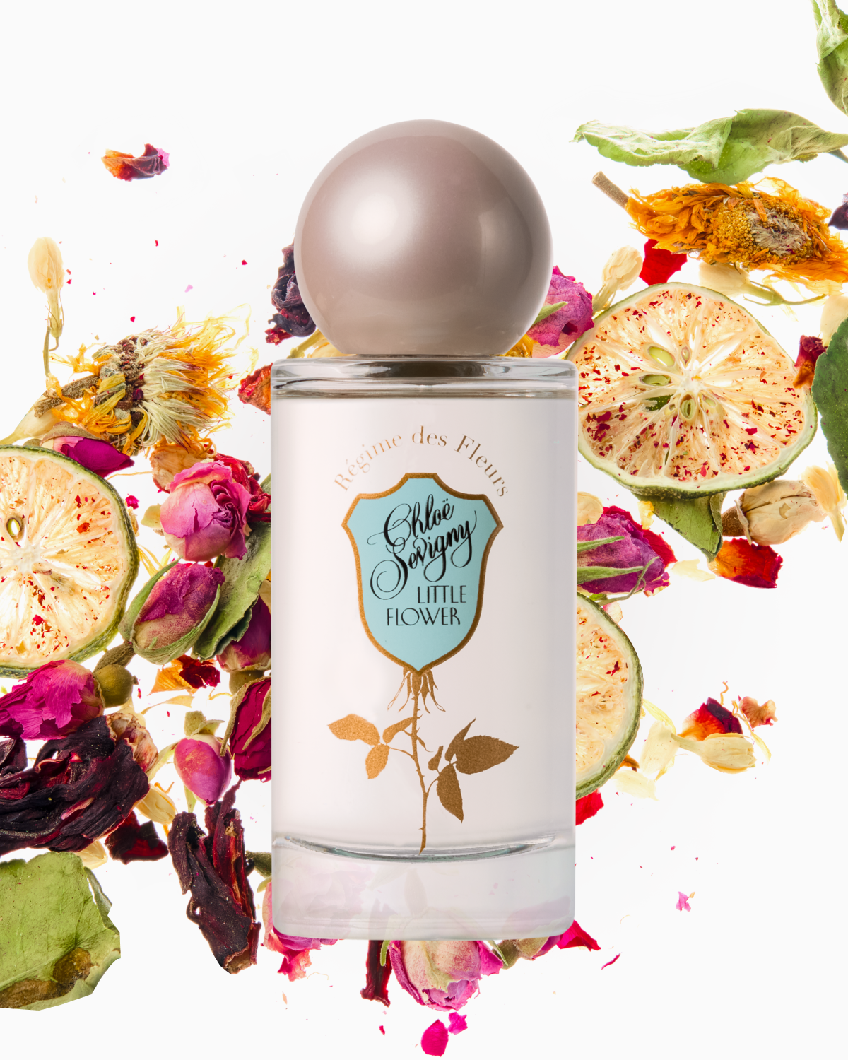 LITTLE FLOWER – Régime des Fleurs