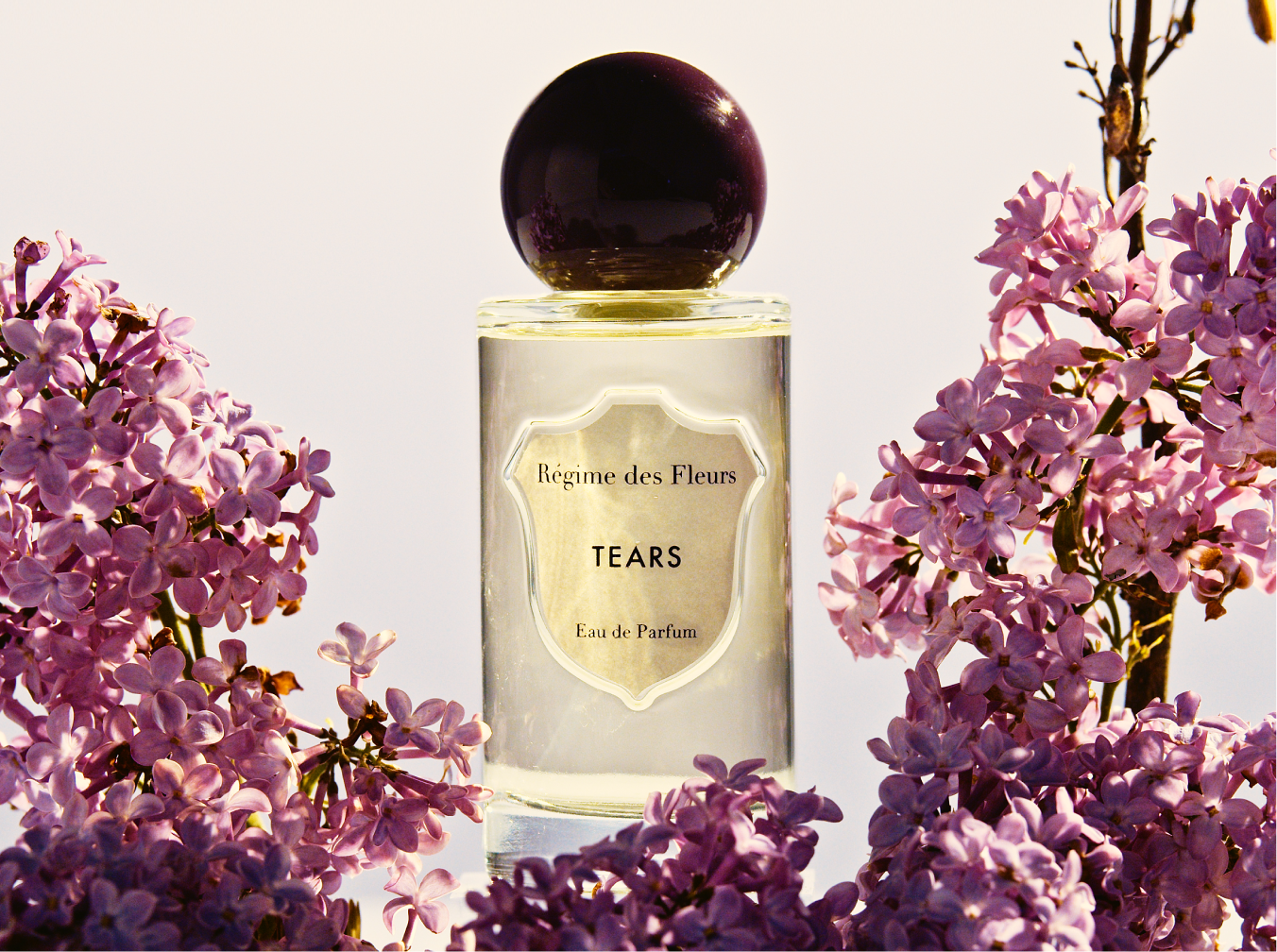 レジーム デ フルール シェルズ・Regime des Fleurs Régime des Fleurs クロエ・セヴィニーとのコラボレーション