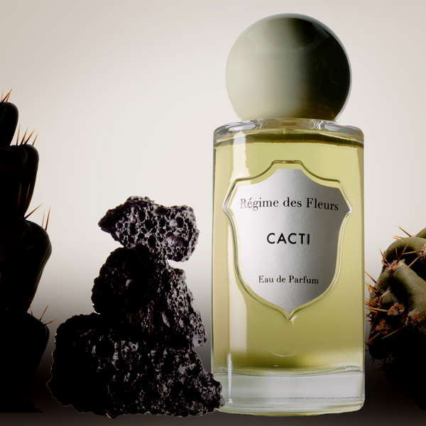 CACTI Desert Rock Garden – Régime des Fleurs