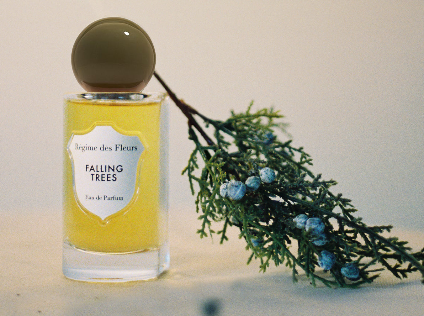 FALLING TREES – Régime des Fleurs