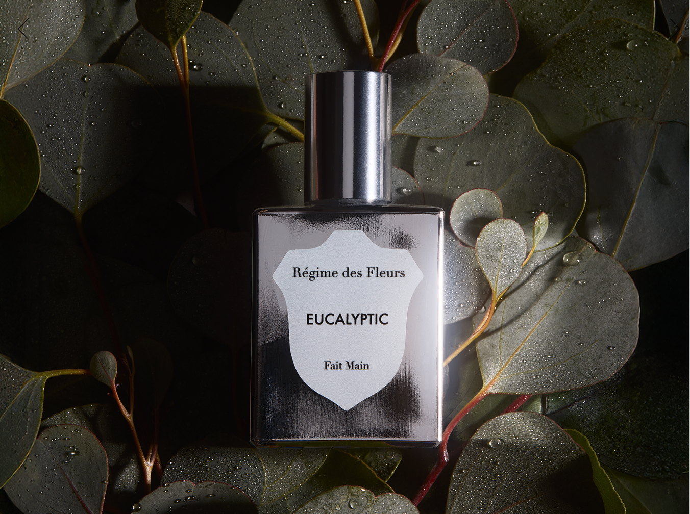 Régime des Fleurs ハンドペイント キャンドル Régime des Fleurs