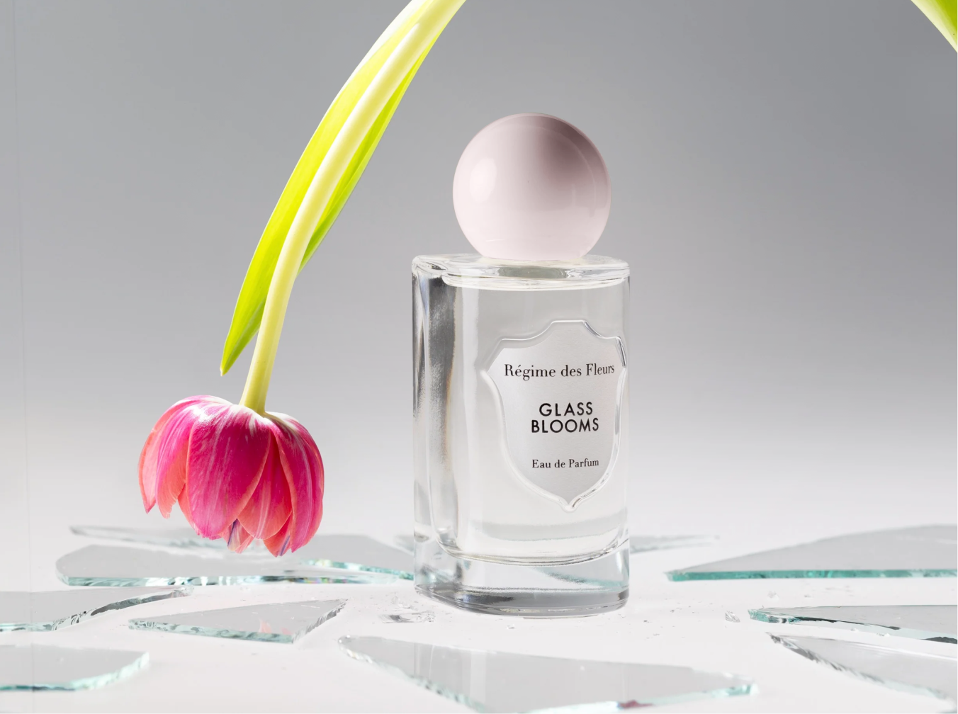 GLASS BLOOMS – Régime des Fleurs GLASS BLOOMS – Régime des Fleurs