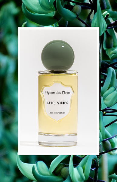 【バミキ】Regime des Fleurs GOLD LEAVES Gold Leaves Régime des Fleurs perfume - a fragrance for
